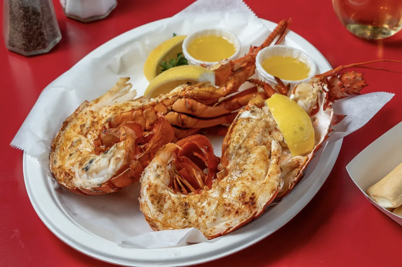 Premium Hand-Shucked Spiny Lobster Tail on a Skewer