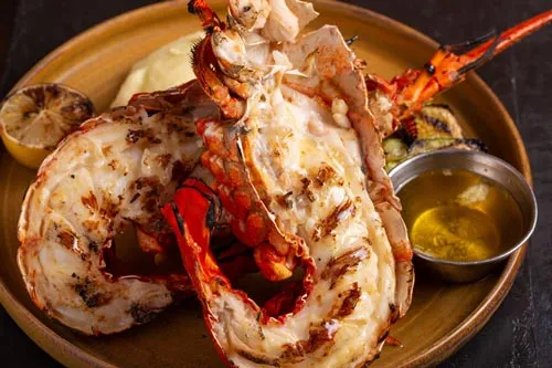 Spiny Lobster