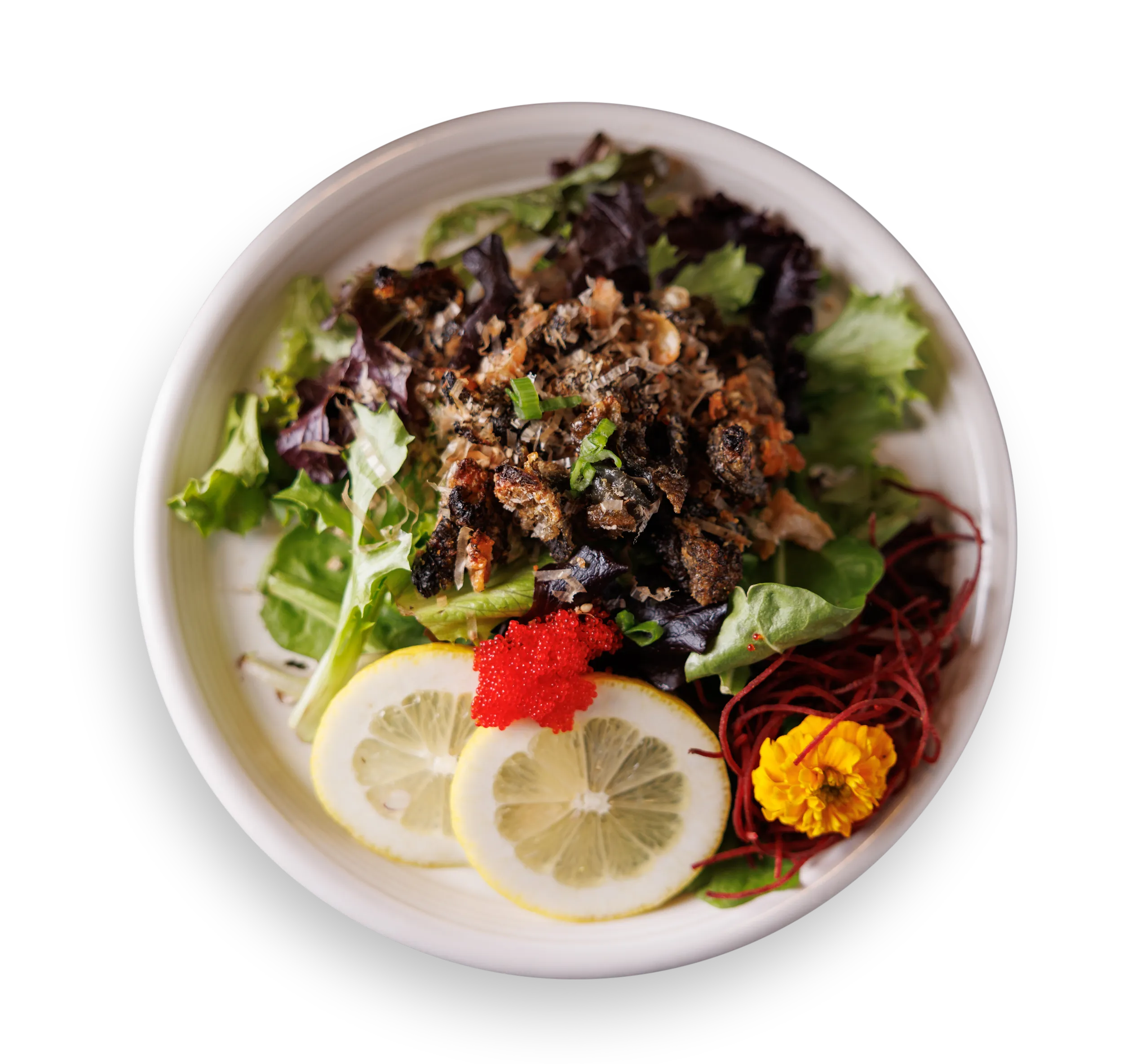 Salmon Skin Salad
