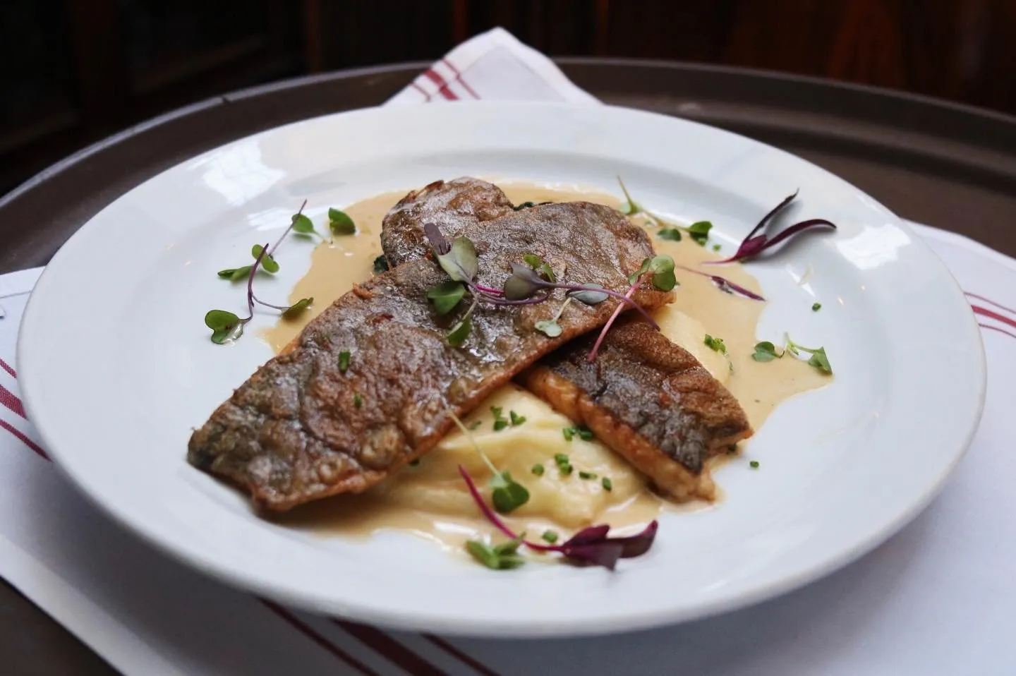 Trout Filet