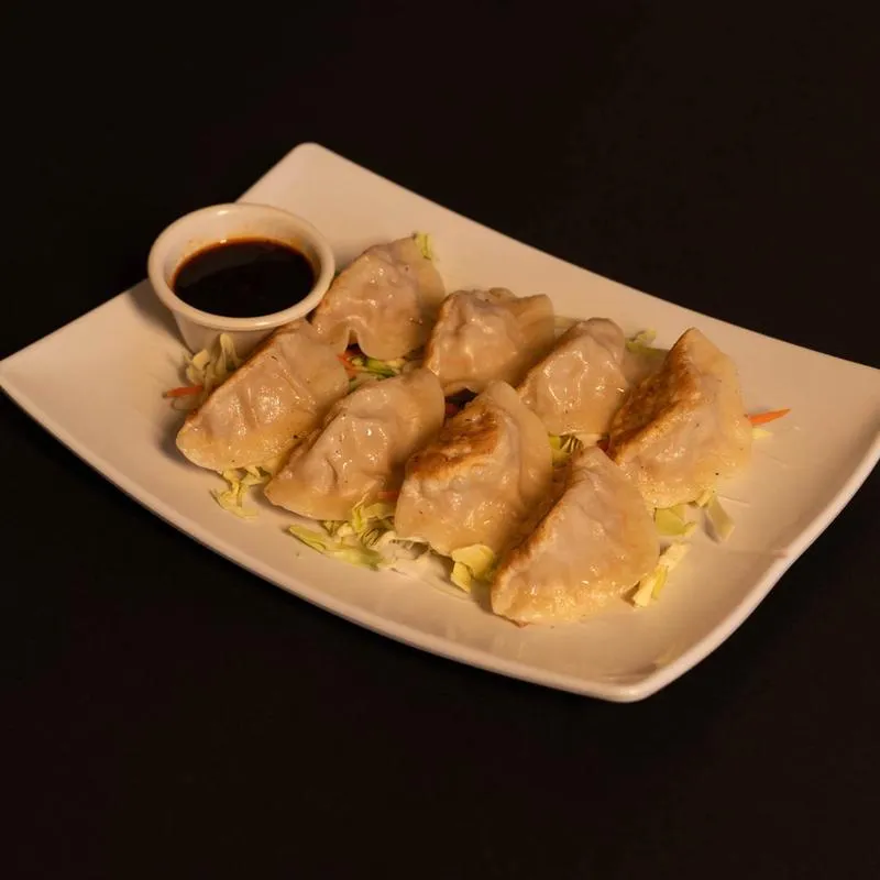 Homemade Boiled or Pan Fried Dumplings