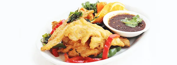 Catfish Fillet