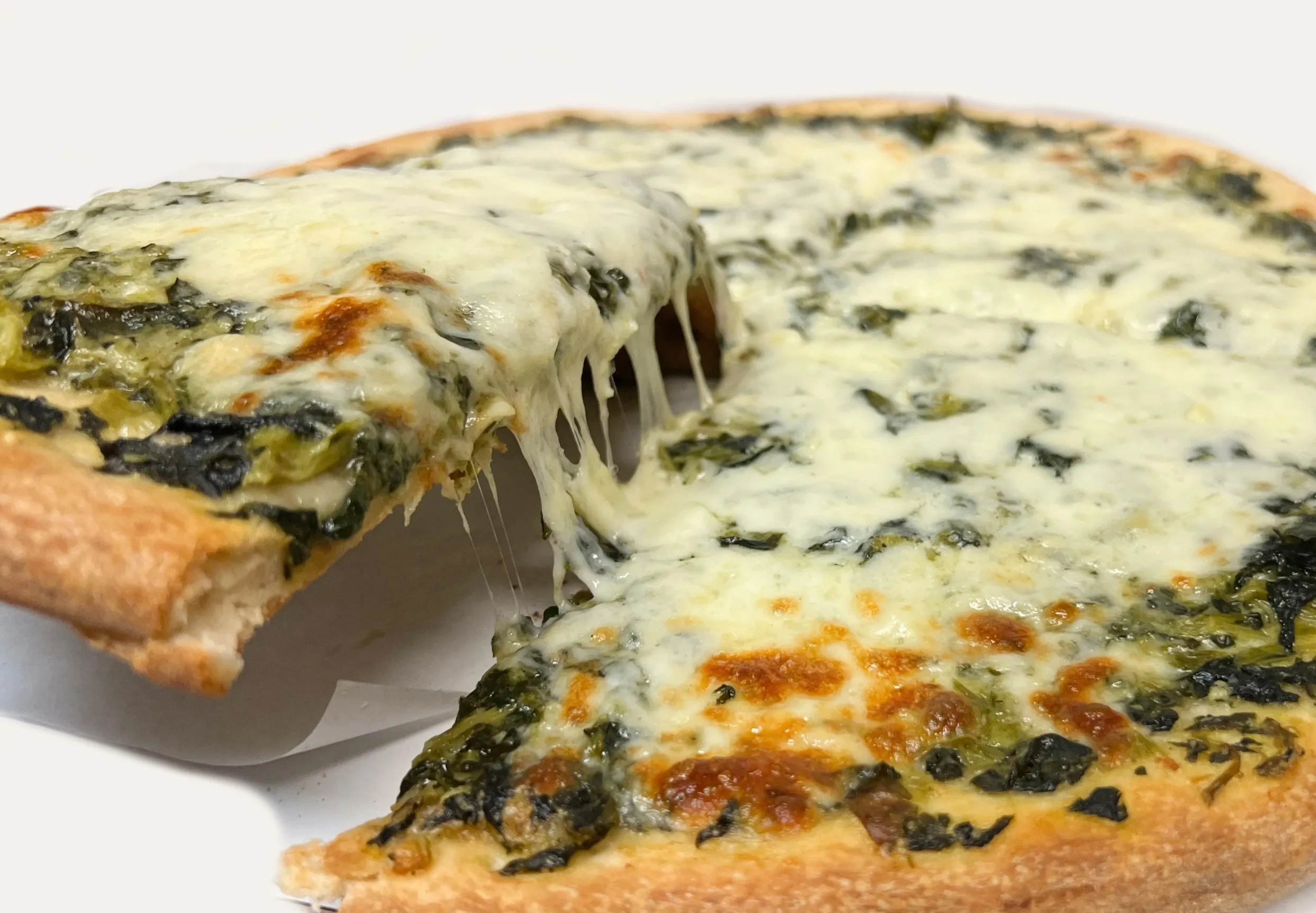 Florentine