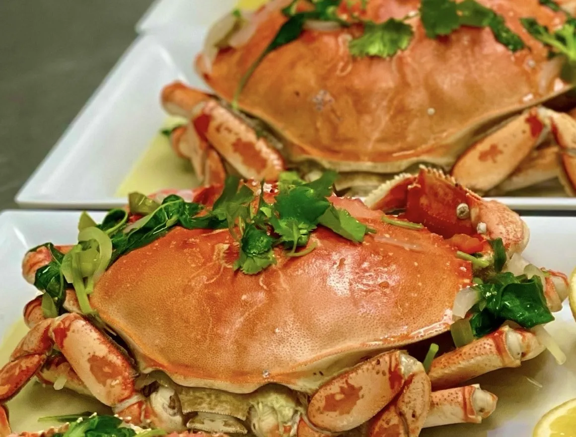 Dungeness Crab