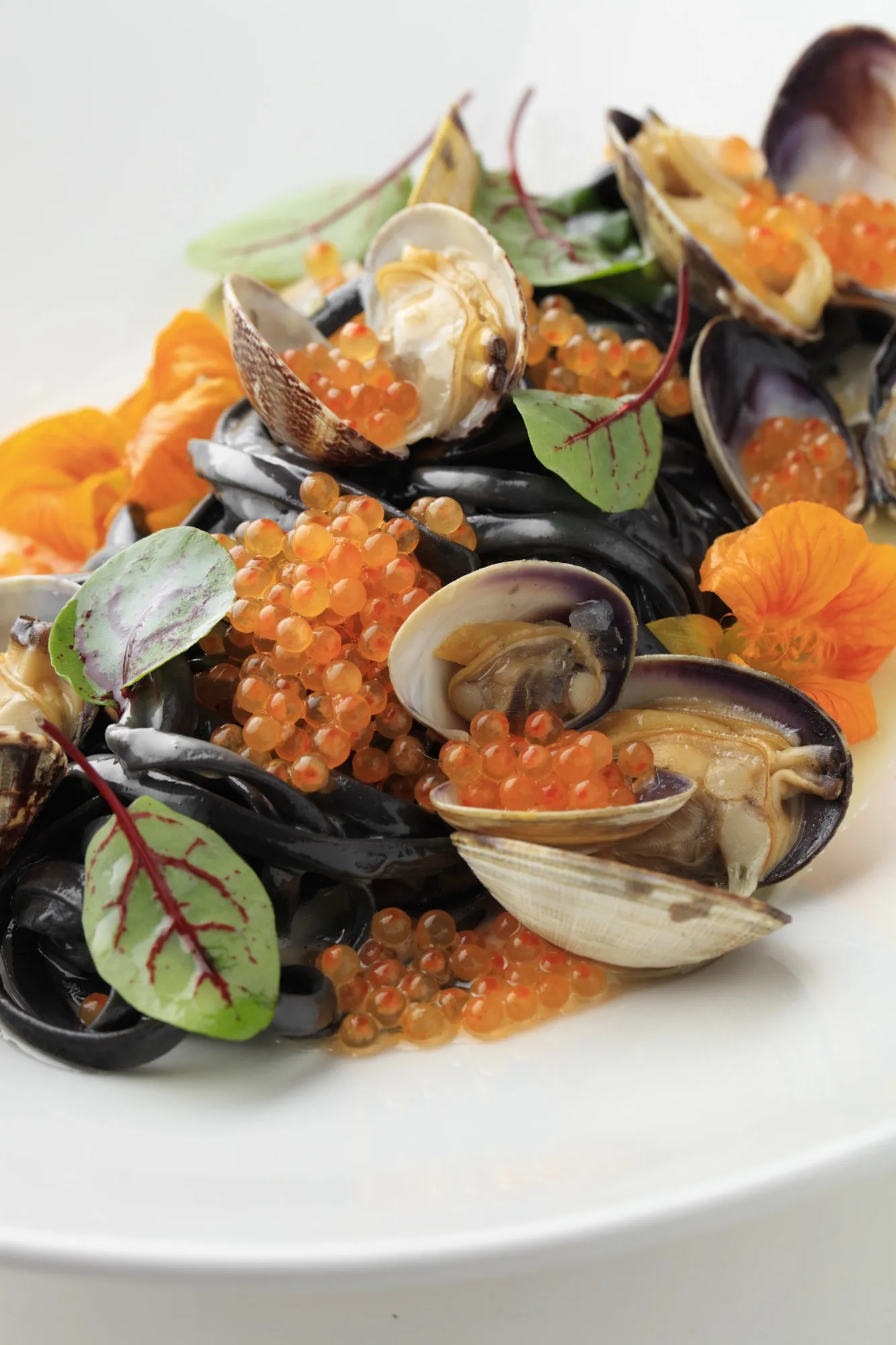 Squid Ink Pasta