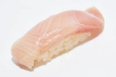 Yellowtail