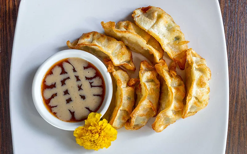 Gyoza