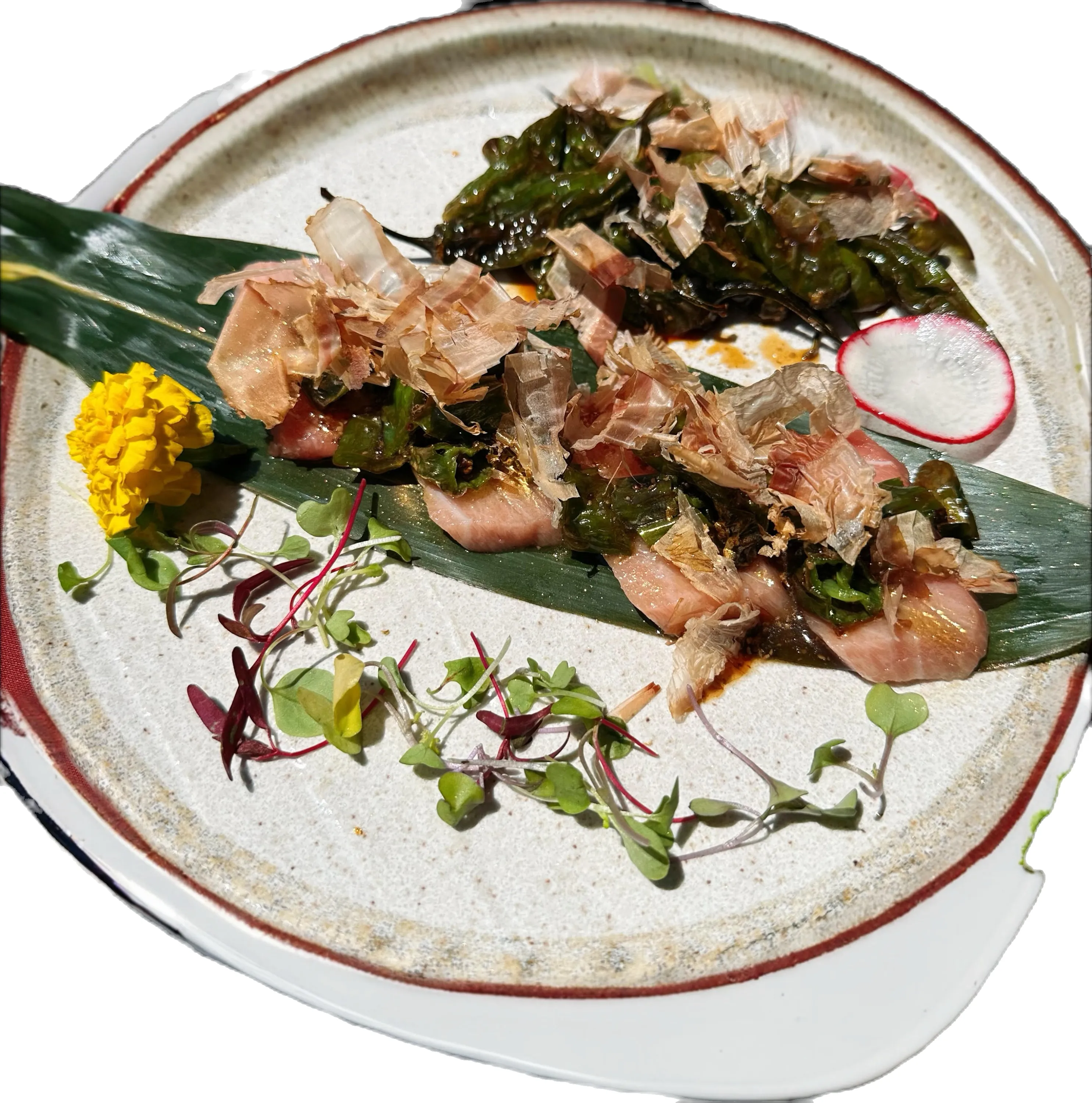 Shishito Toro Paradise