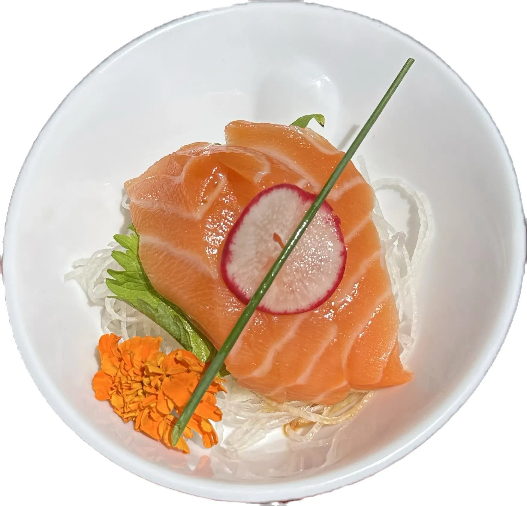 Salmon