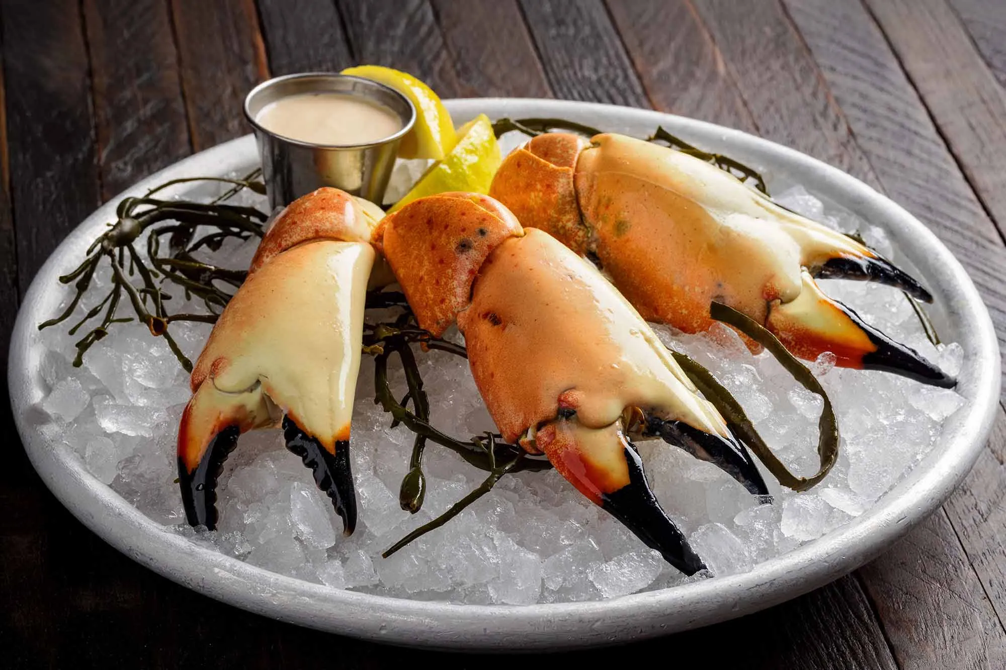 Wild Florida Stone Crab