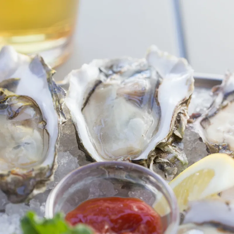Oysters
