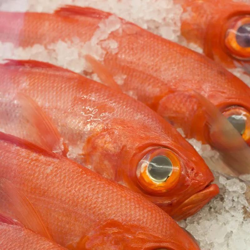 Whole Fish of The Day