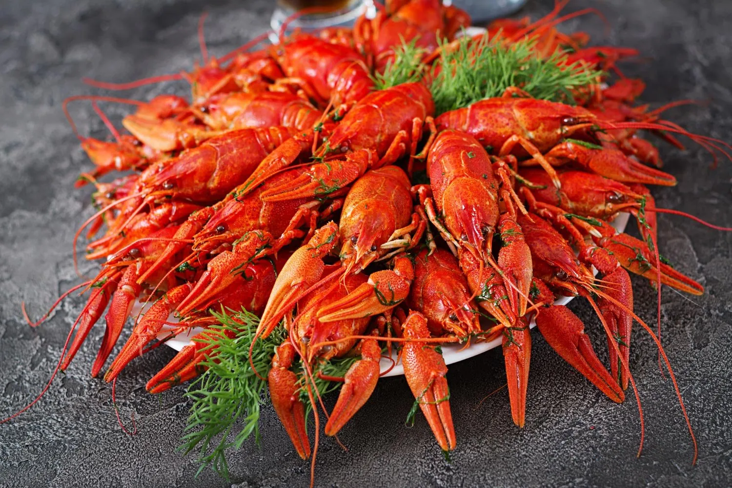 Whole Lobster