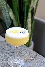 Hand Crafted Cocktails