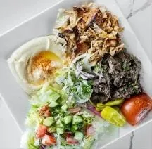 Mixed Gyro Plate