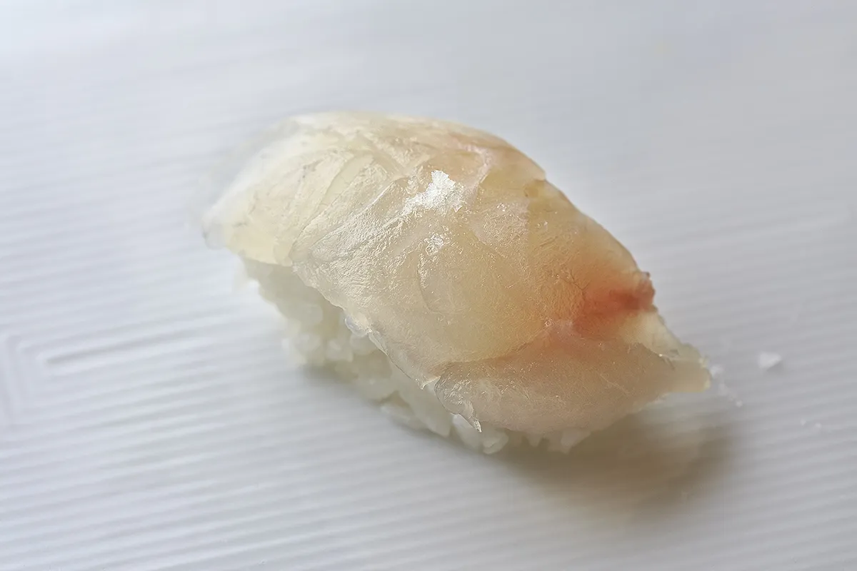 NZ SeaBream