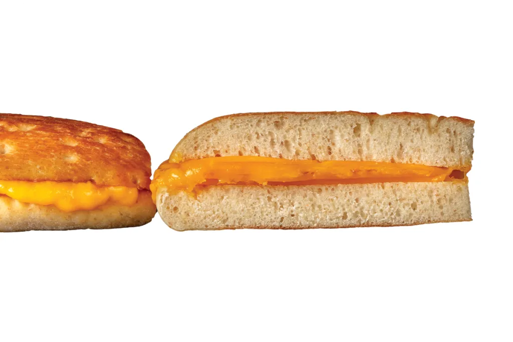Grilled Cheddar Cheese Sandwich
