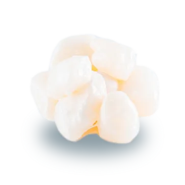 Protein: Scallop